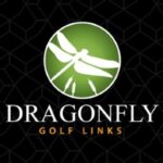Home 154 code promo dragonfly