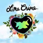 Home 290 code promo lime crime